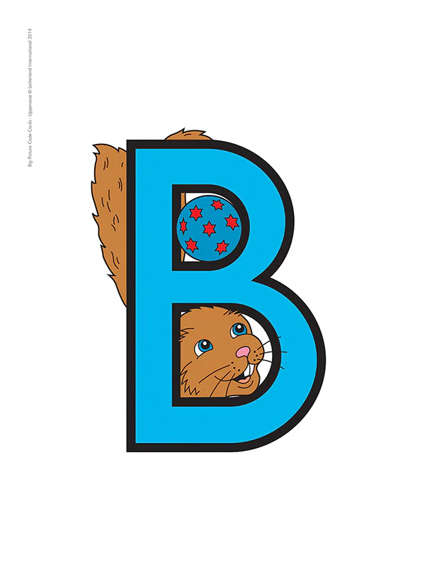 Big Picture Code Cards - Image 3